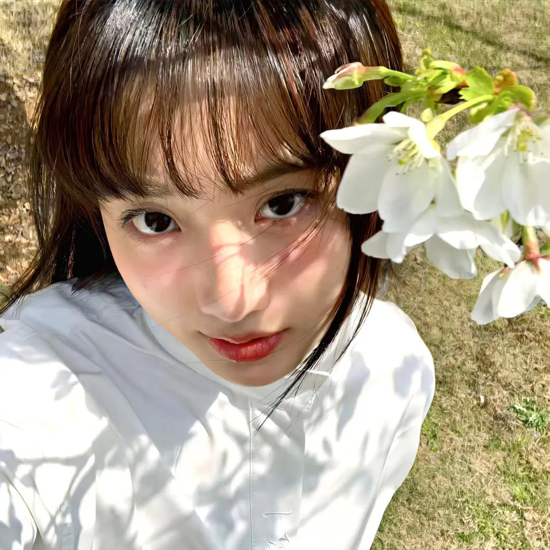 火花兄弟