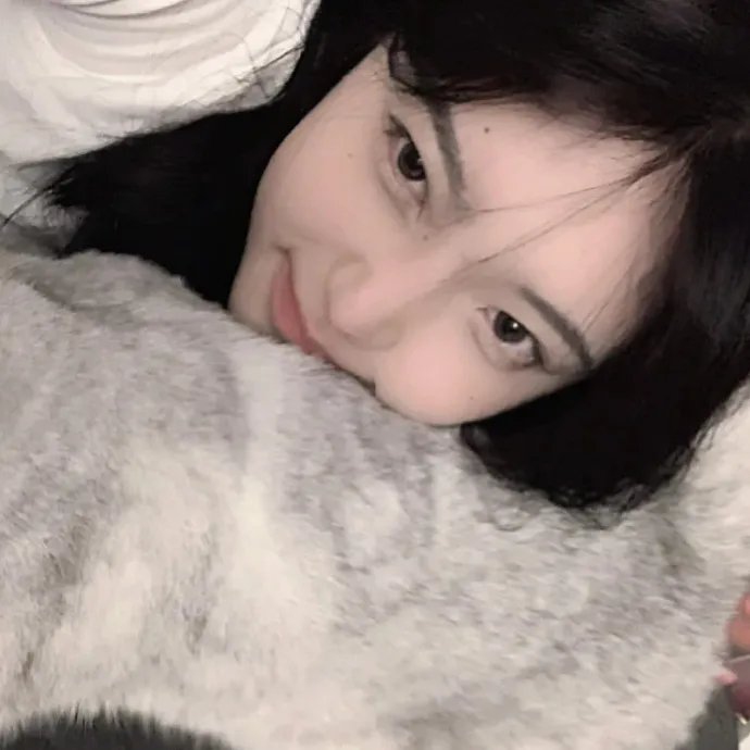 菜鸟总动员